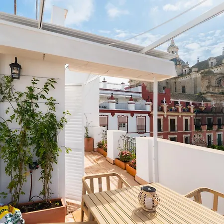 Espectacular 2h 3b Con Terraza Plaza Del Salvador Apartment